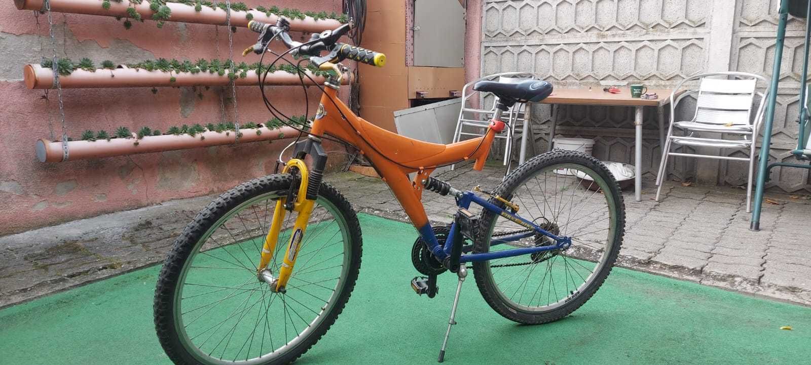 Bicicleta copiii sau adulți