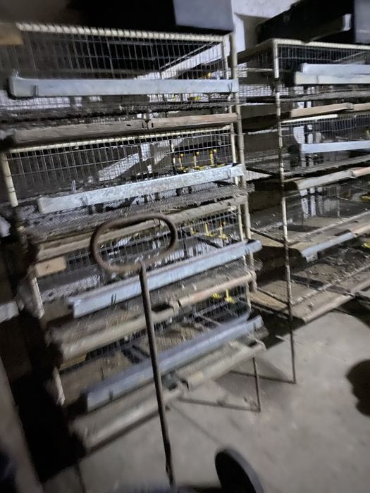 Клетки для перепелов