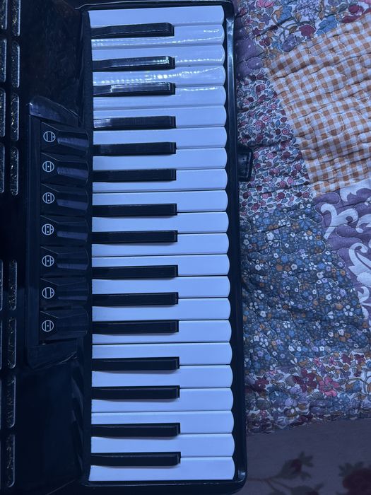 Acordeon Startone 96 basi