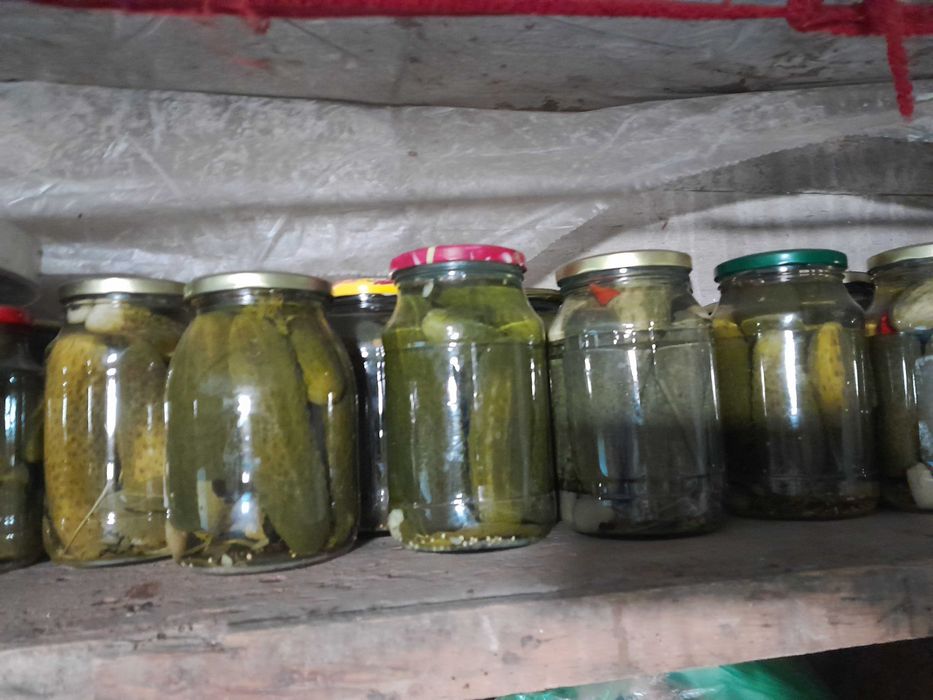 Огурчики маринованные