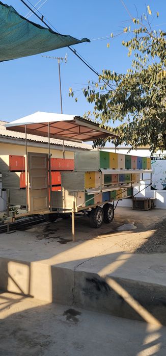 Асал ари вагони сотилади срочно