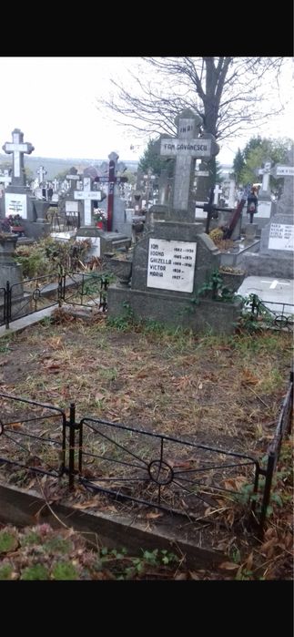 Loc de veci DOMNESTI