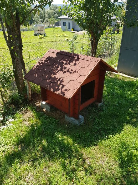 Vand Casută adăpost caine