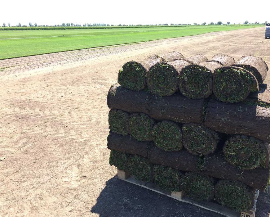 Gazon Rulou Calitate extra , Oferim transport oriunde in tara !