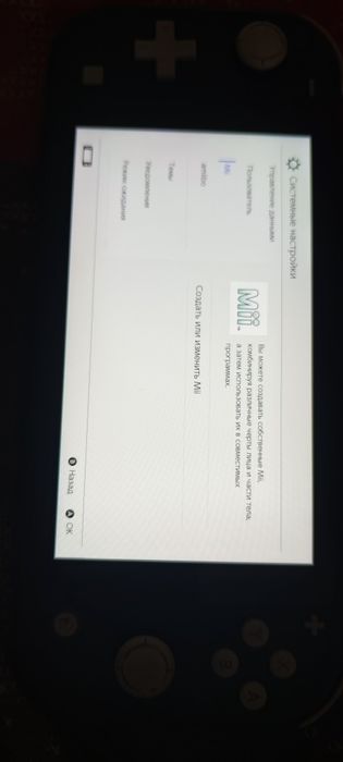 Nintendo switch lite