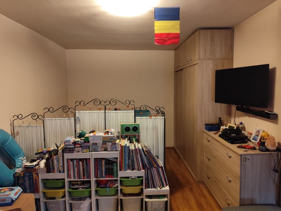 Apartament 1 camera, Baia Mare, Nicolae Iorga