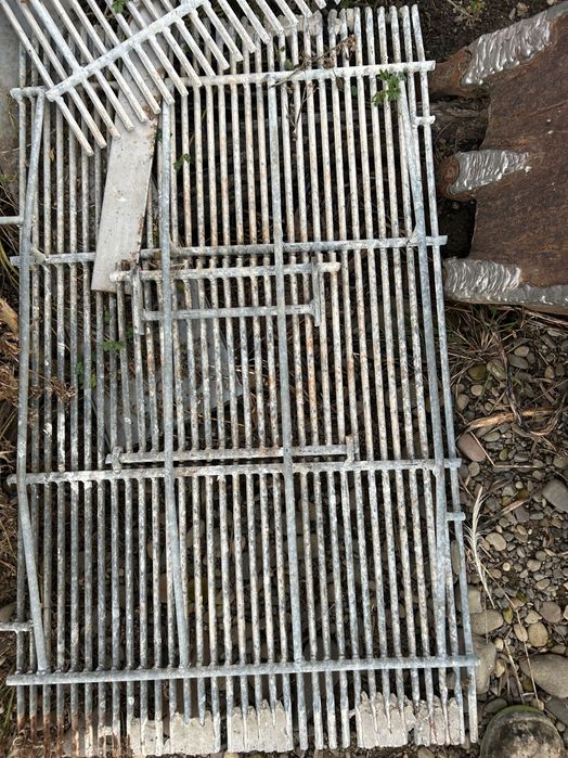 Vand gratare pentru Porci