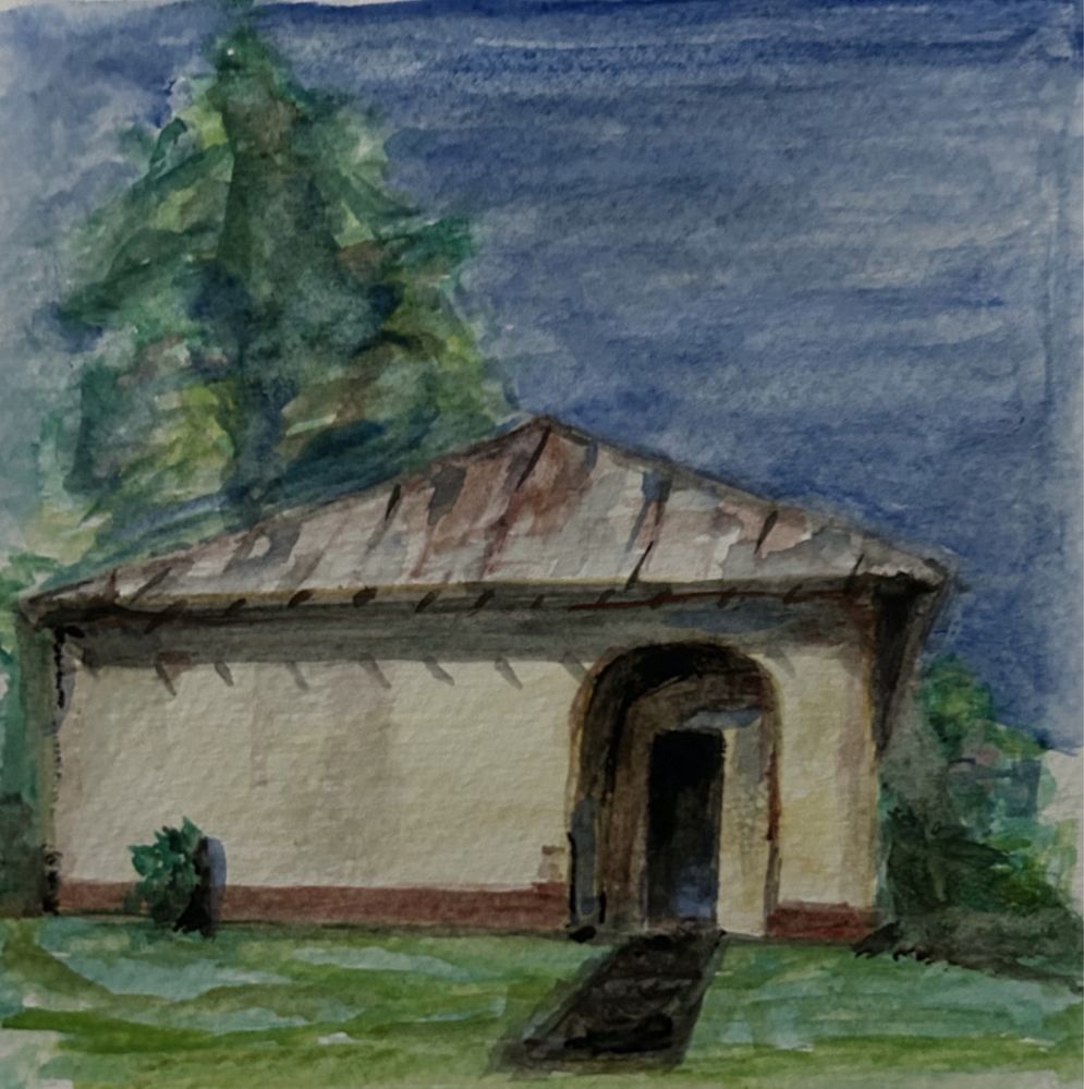 Picturi acuarela