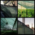 PLASA 35-40%UMBRIRE/PROTECTIE 12x50m=1000lei; 12x100m=2000lei, UV