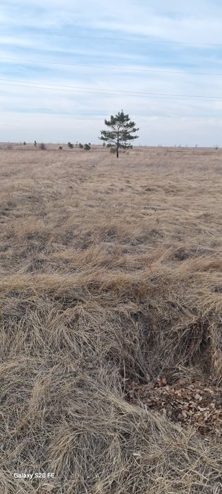 Земельный участок