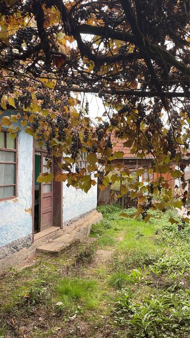 Casă de vânzare în Ceișoara