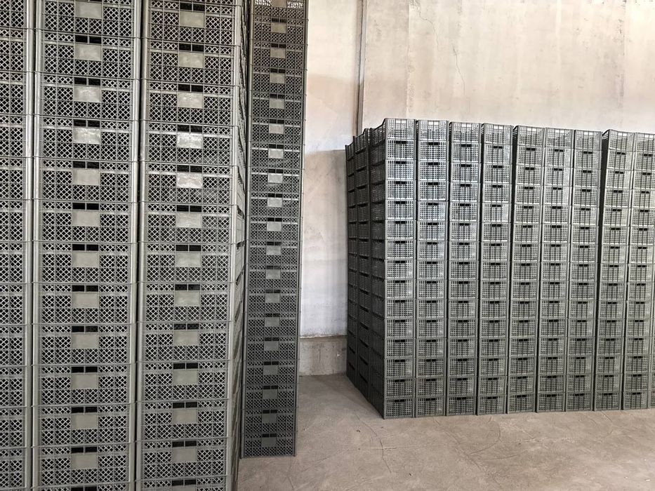 Пласмасса яшик сотилади