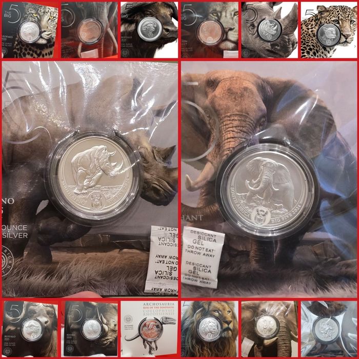 Africa de Sud Big 5 Five I, II si III monede lingou argint pur 999