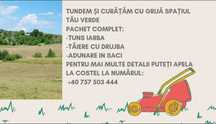 Tundem si curatam spatiul tau verde