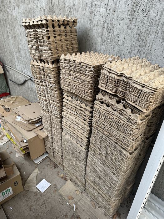 Продам лотки для яиц