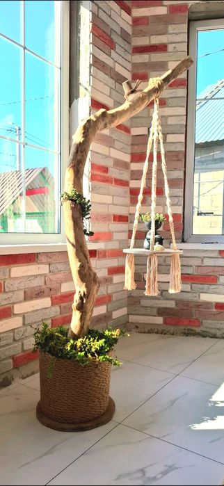 Декор для дома живые растения  сочетанием макраме