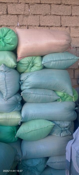 Apilka bor sotiladi mayda va yirik