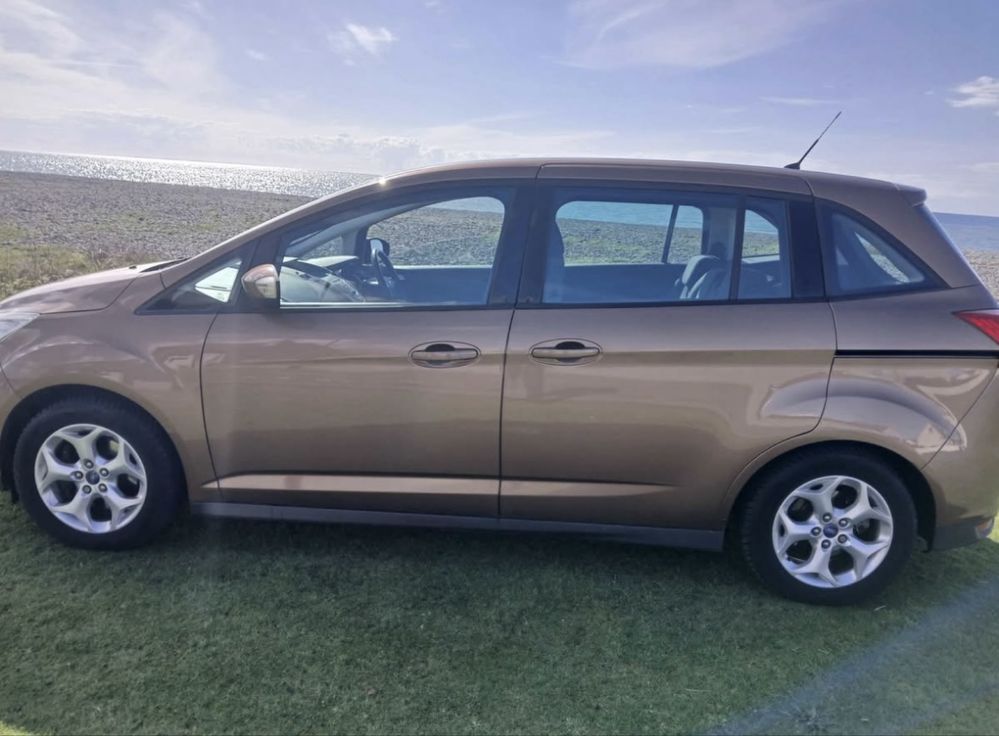 Piese Ford Grand C Max