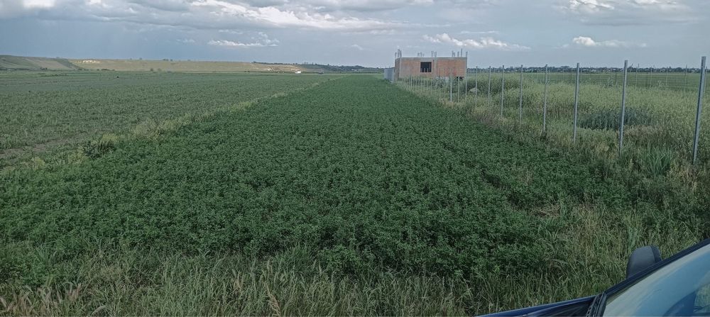 Vand teren intravilan