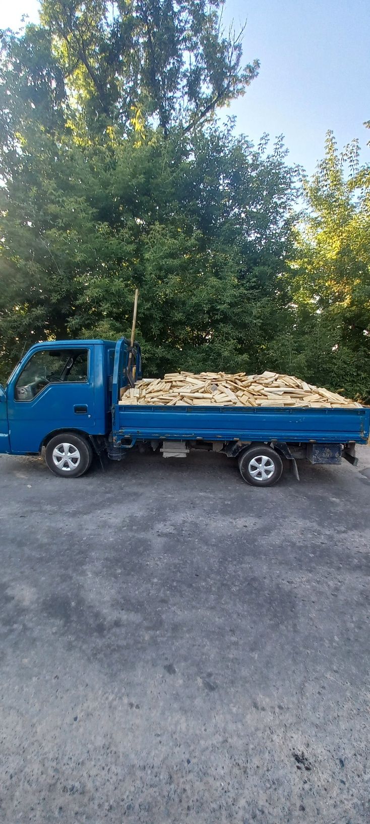 Дрова рубленные сухие