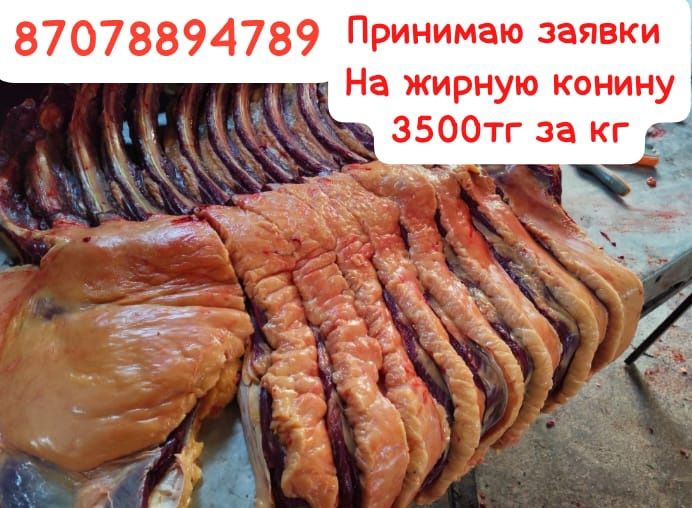 Продам конину жабагы байтал кысыр бие