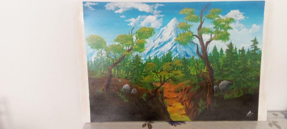 Продам картины, написаны акрилом покрыты лаком,возможен торг,зря не бе