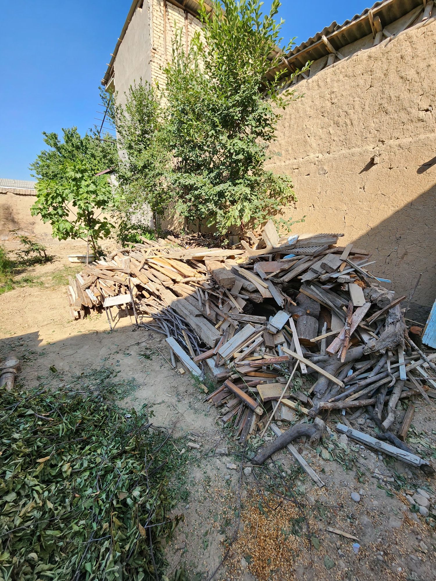 Yaxshi quruq otlar bor