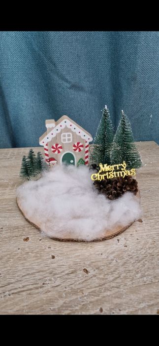 Ornamente/decoratiuni de Craciun