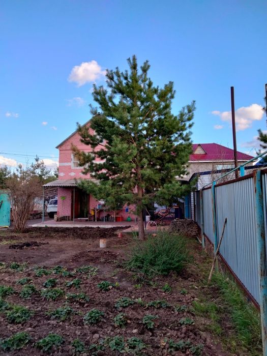 Дача в районе Асан. 9 соток