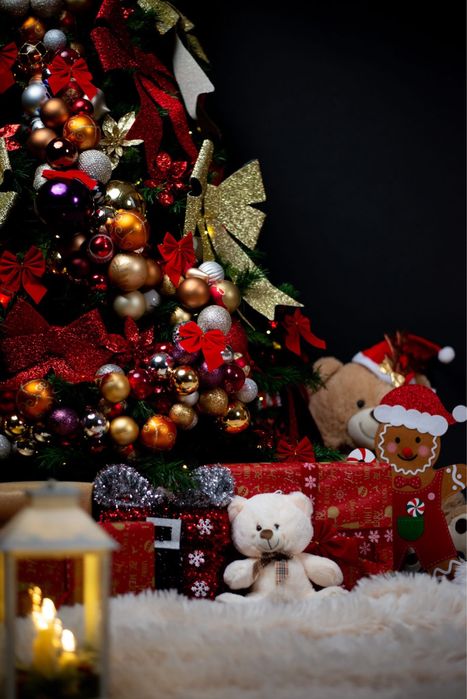 Ședință foto de Crăciun