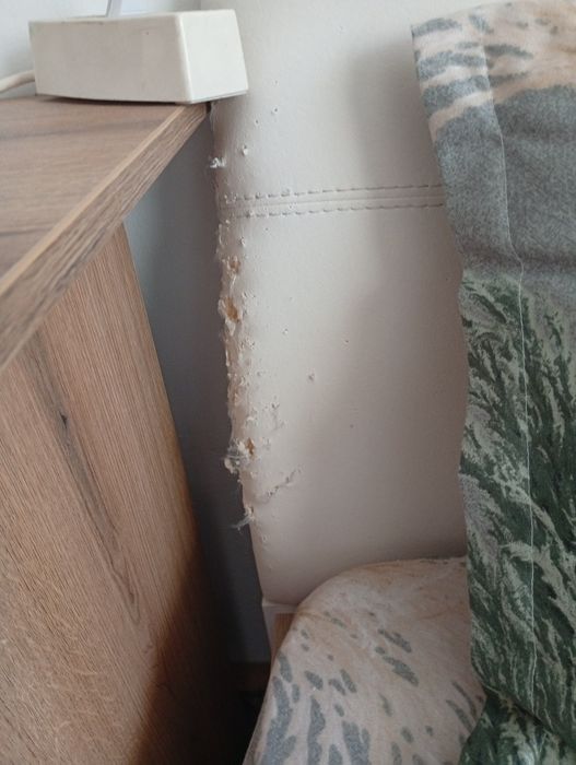 Vând pat și saltea