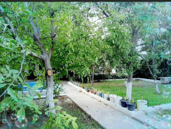 Dacha, дача аренда