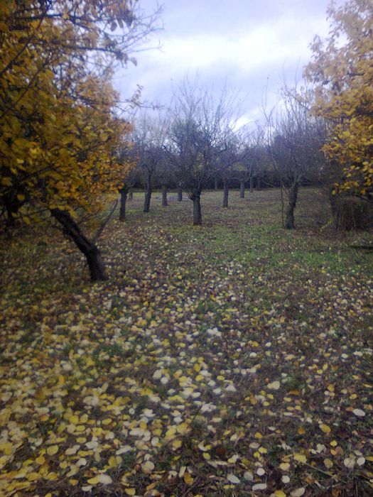 Продава се Къща в София, 7-ми 11-ти километър - 70 кв.м за 146 €/кв.м - Снимка #5