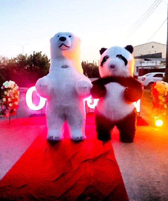 TEDDI Ayiq va Panda sotiladi