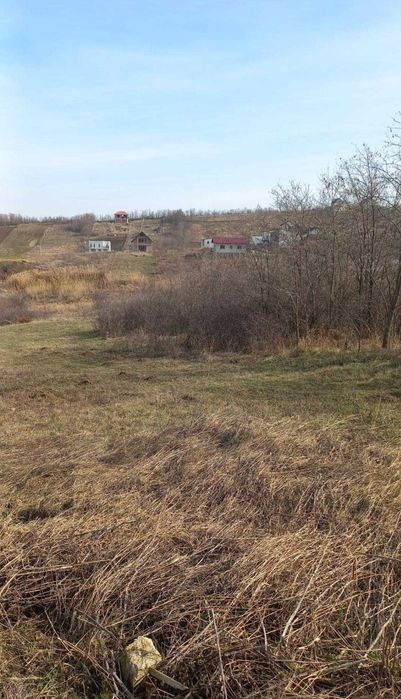 teren intravilan Breazu, Rediu