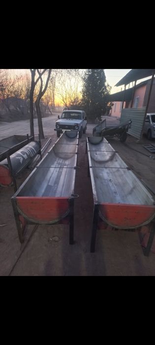 Mol va qõylar uchun novalar