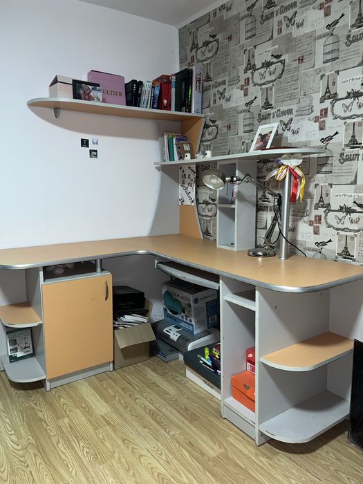 Birou camera tineret