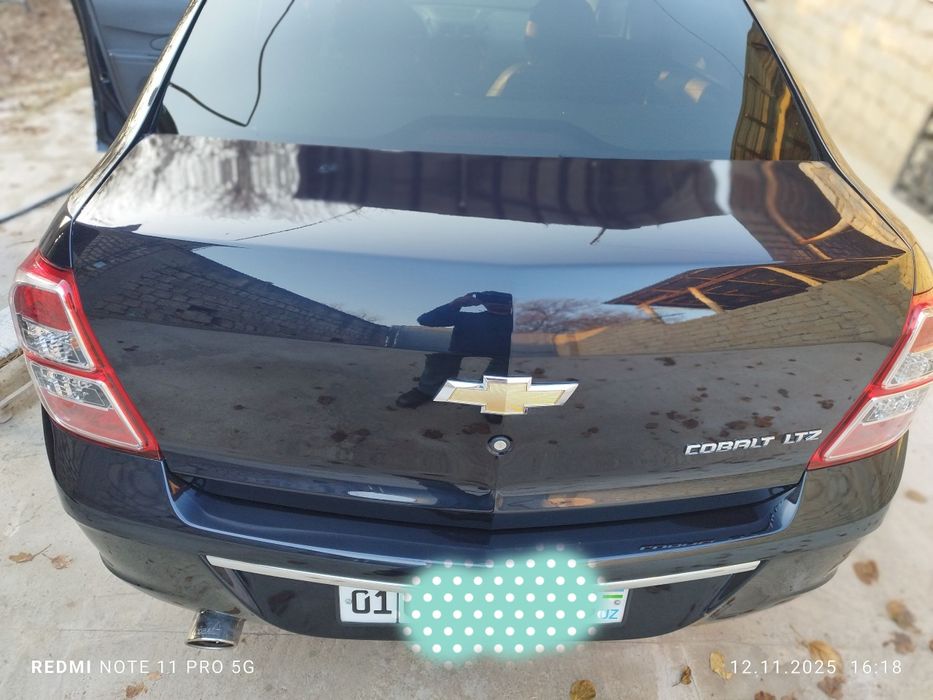 2023 краска тозза