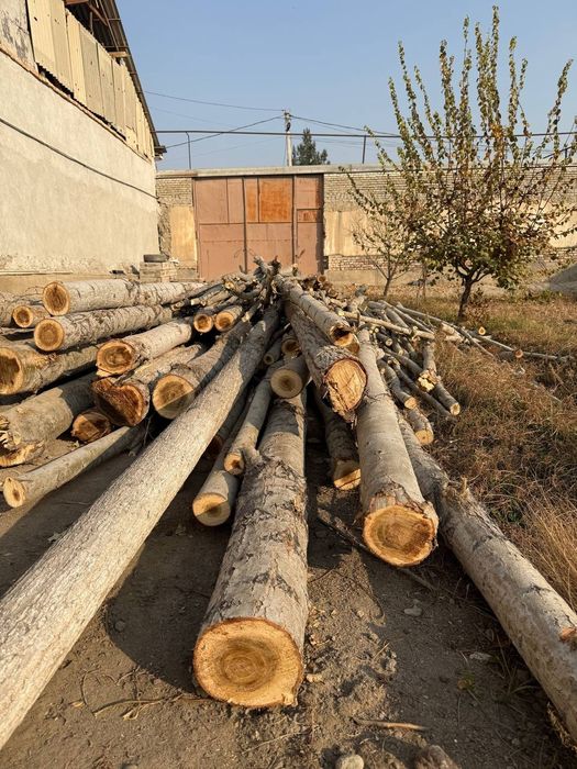 Terak ~ терак sotiladi сотилади