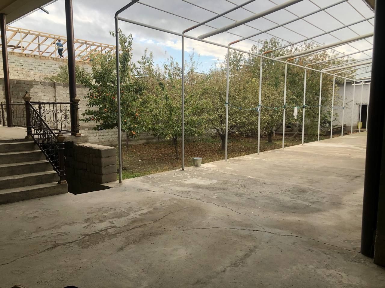 12 sòtixli xovli sotiladi