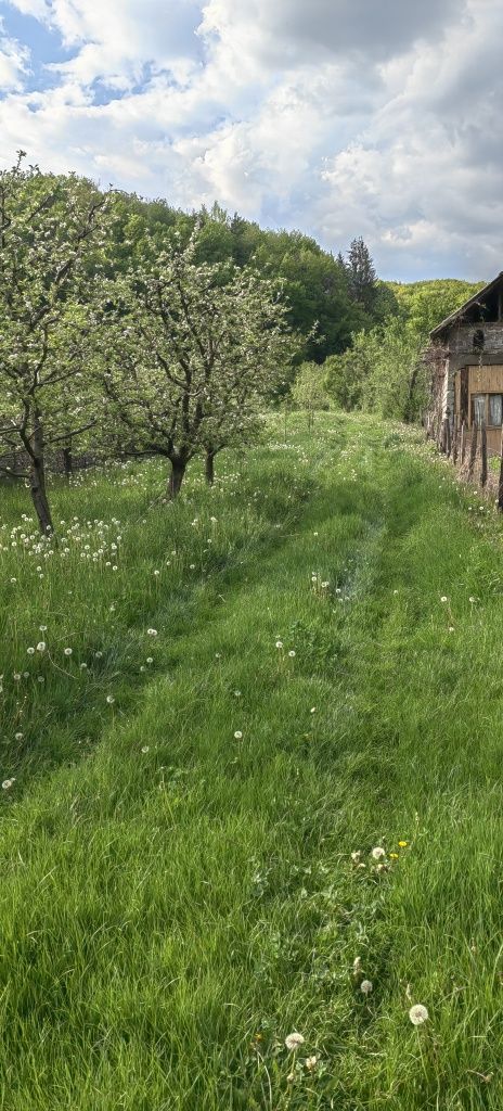 Teren intravilan cu livada