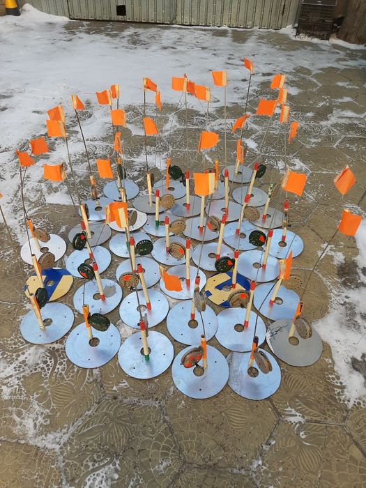 Щуколовки зимние.