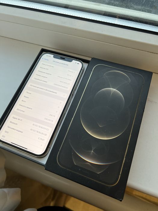 iPhone 12 Pro Max 256GB