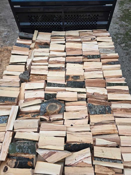 Vând lemn de foc de fag