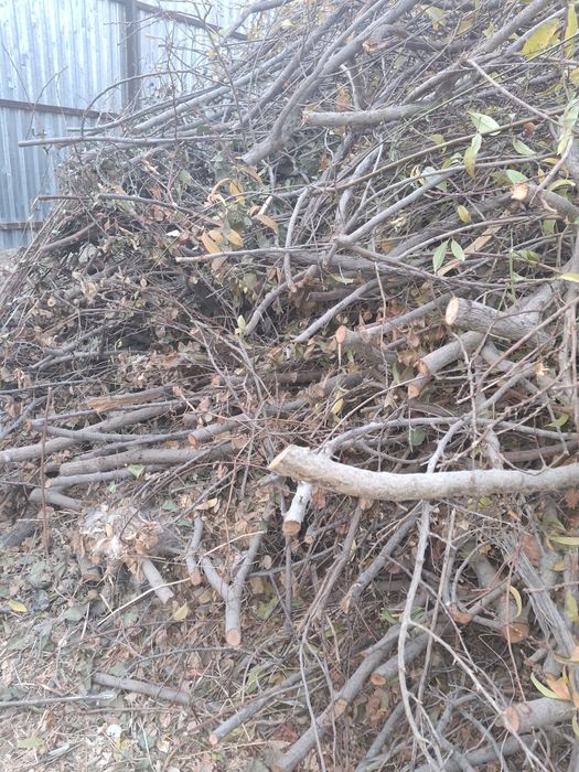 Шох шабба тандир ва учок утин сотилади