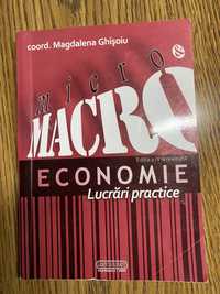 Micro si Macro Economie