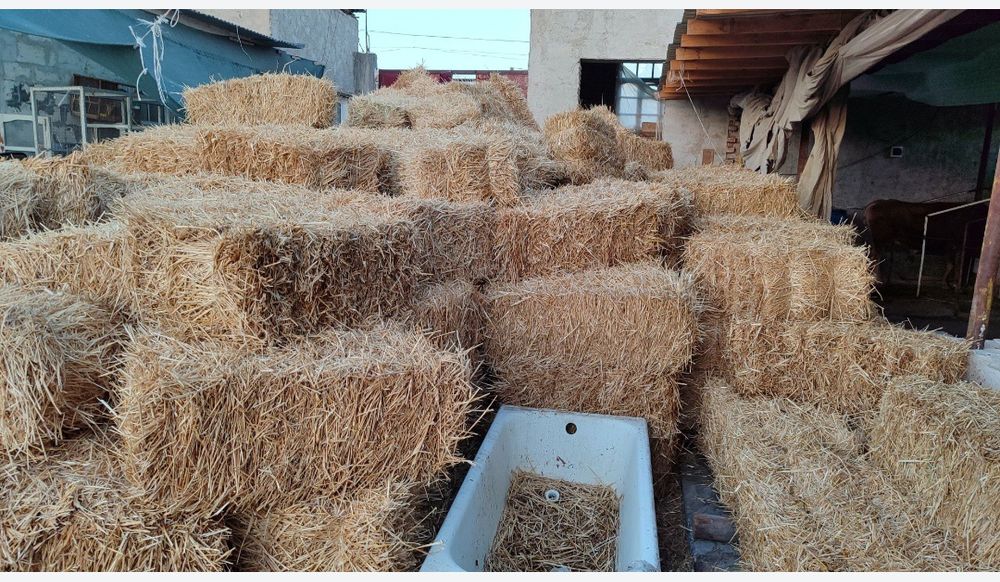 Сомон прес Somon press