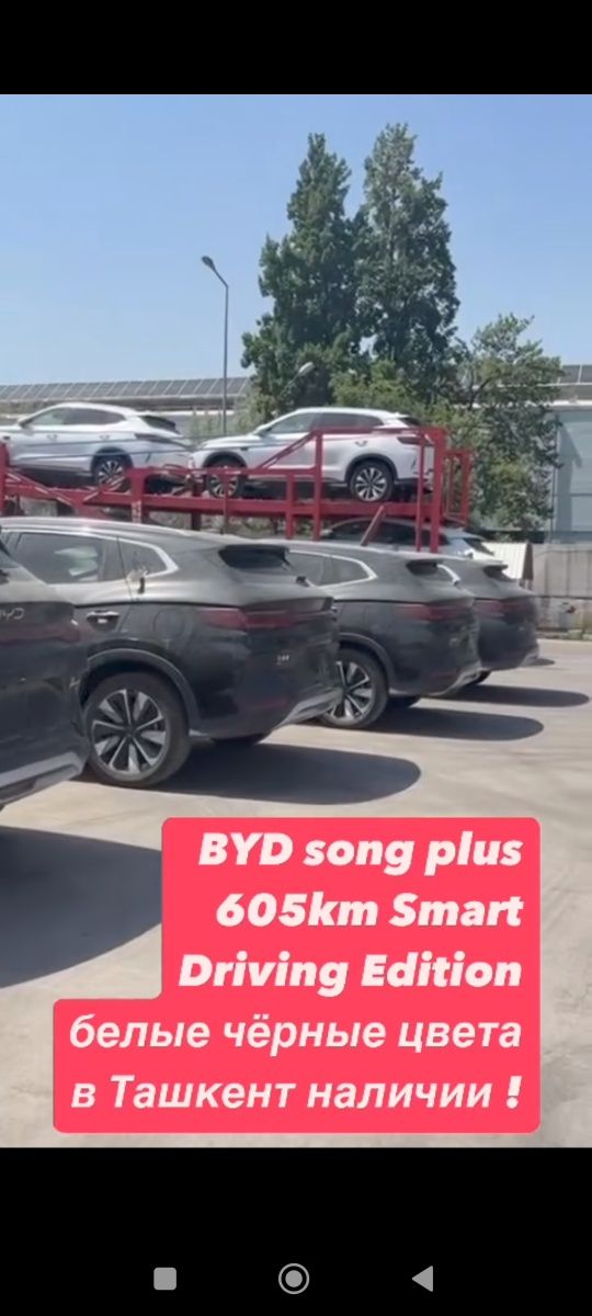 Byd  song smart   ayselda   nomilaga chiqadi