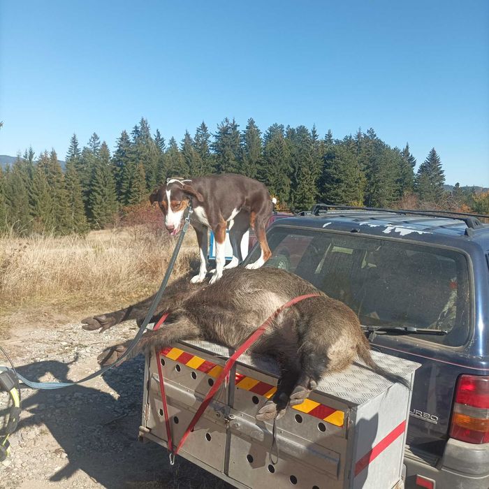 Транспортна клетка за ловни кучета