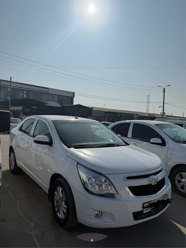 Cobalt Oq 2023 Dekabr